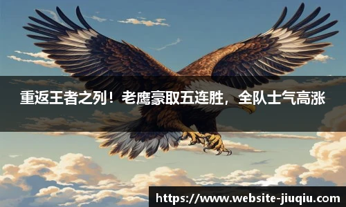 9球高清直播