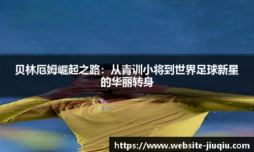 九球体育